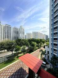 Blk 730 Tampines Street 71 (Tampines), HDB 4 Rooms #594666411